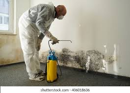 Best Residential Mold Inspection & Testing  in Iowa, LA